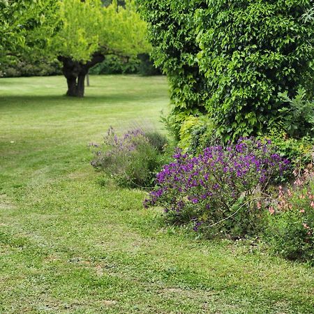 Gite De Charme 80 M², Piscine, Proche D'Uzes. Vezenobres エクステリア 写真