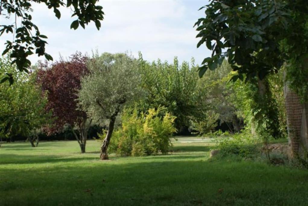 Gite De Charme 80 M², Piscine, Proche D'Uzes. Vezenobres エクステリア 写真