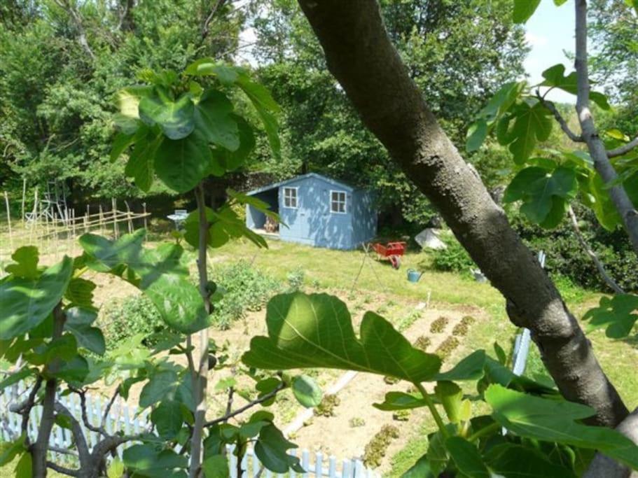Gite De Charme 80 M², Piscine, Proche D'Uzes. Vezenobres エクステリア 写真