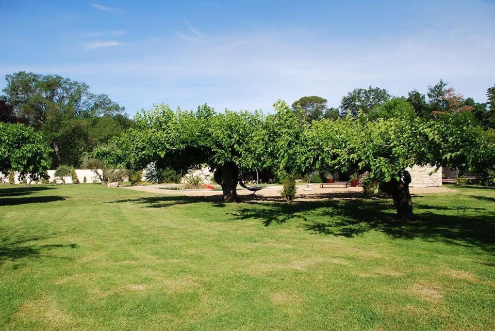 Gite De Charme 80 M², Piscine, Proche D'Uzes. Vezenobres エクステリア 写真